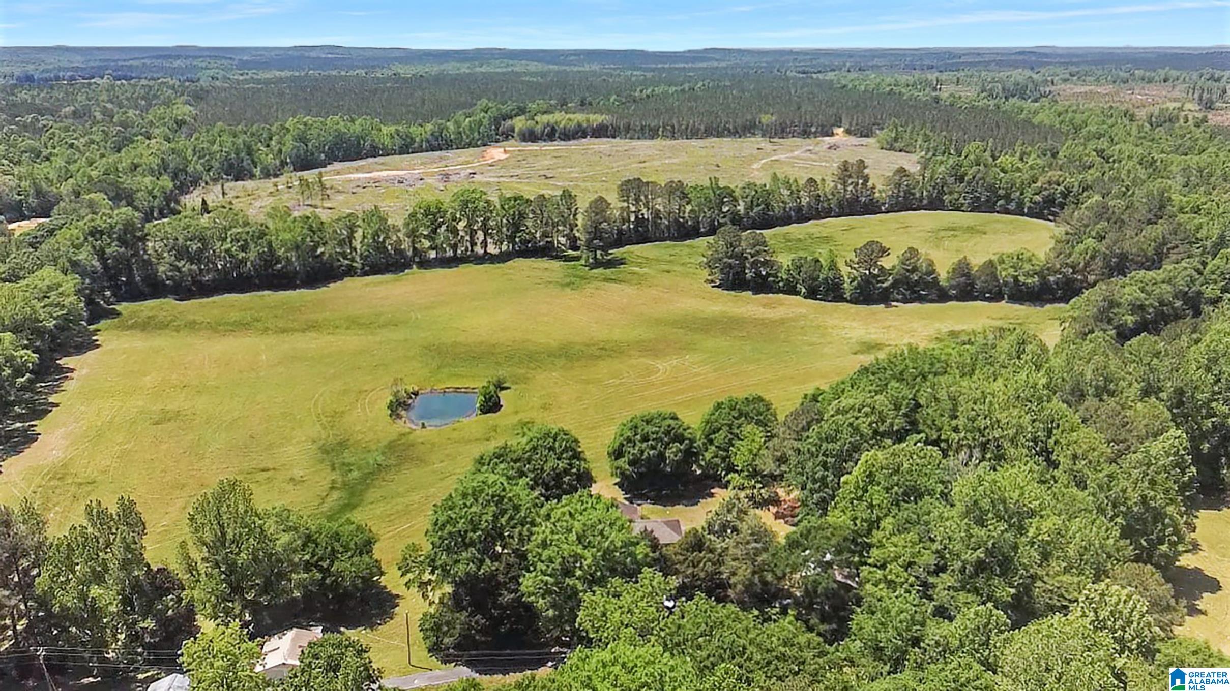 5133 Highway 36 Randolph Al Randolph, AL 36792 - Photo 28 of 36