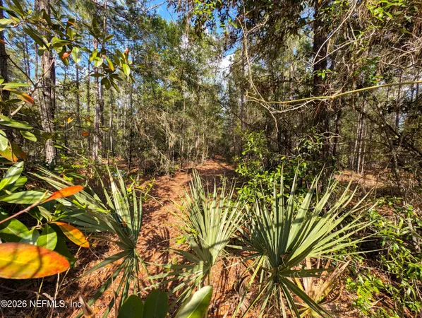 $85,700 | 0 Northeast US Highway 301, Waldo, FL 32694
