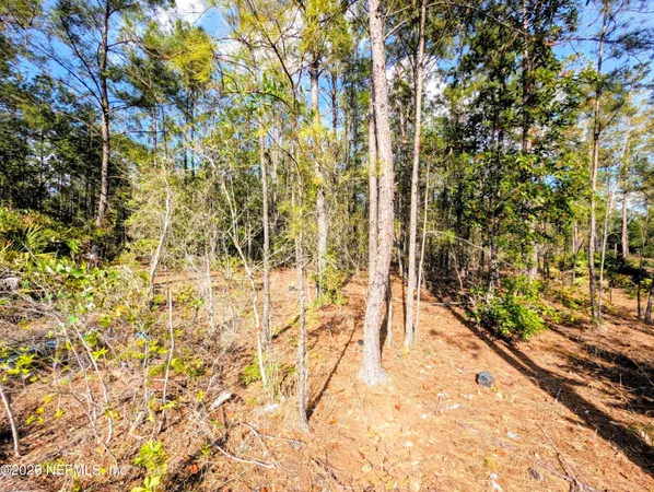 $85,700 | 0 Northeast US Highway 301, Waldo, FL 32694