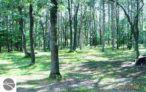 5190 Hardlicka Road Hale, MI 48739 - Photo 6 of 8 1751571-5.JPG
