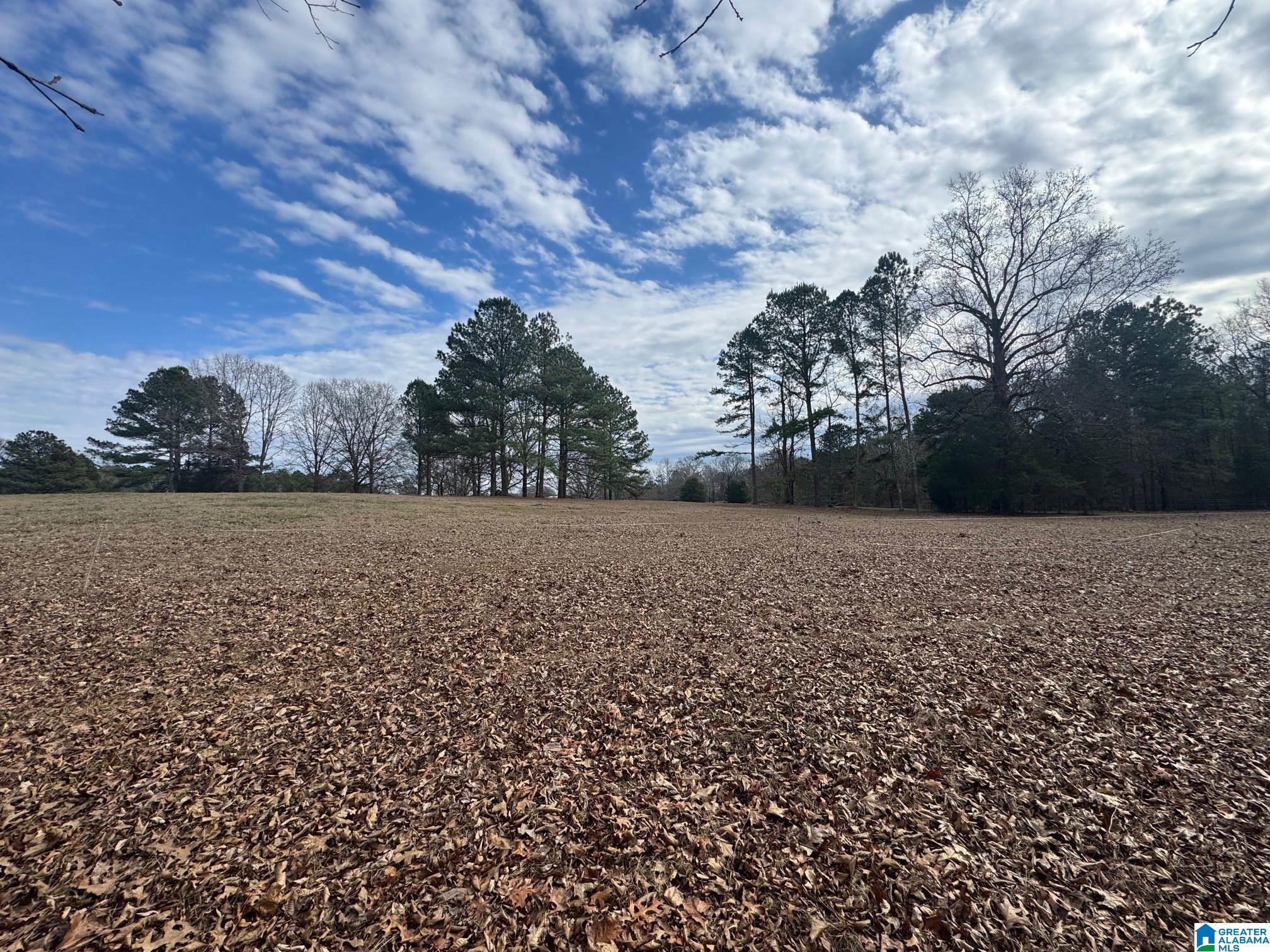 3953 Logan Martin Dam Road Cropwell, AL 35054 - Photo 70 of 99