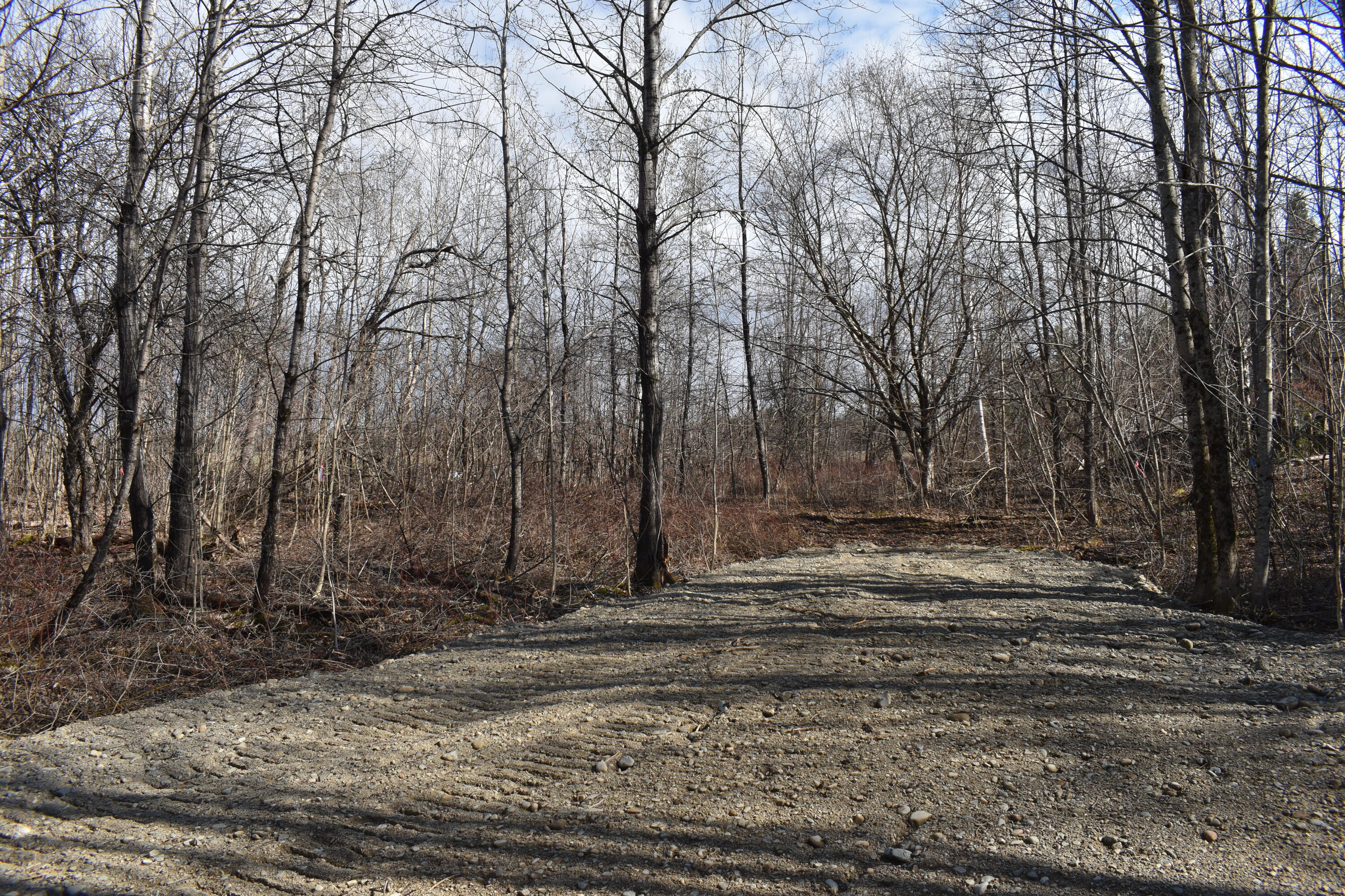 3431 Lee Road Lee, ME 04455 - Photo 7 of 16 DSC_0182