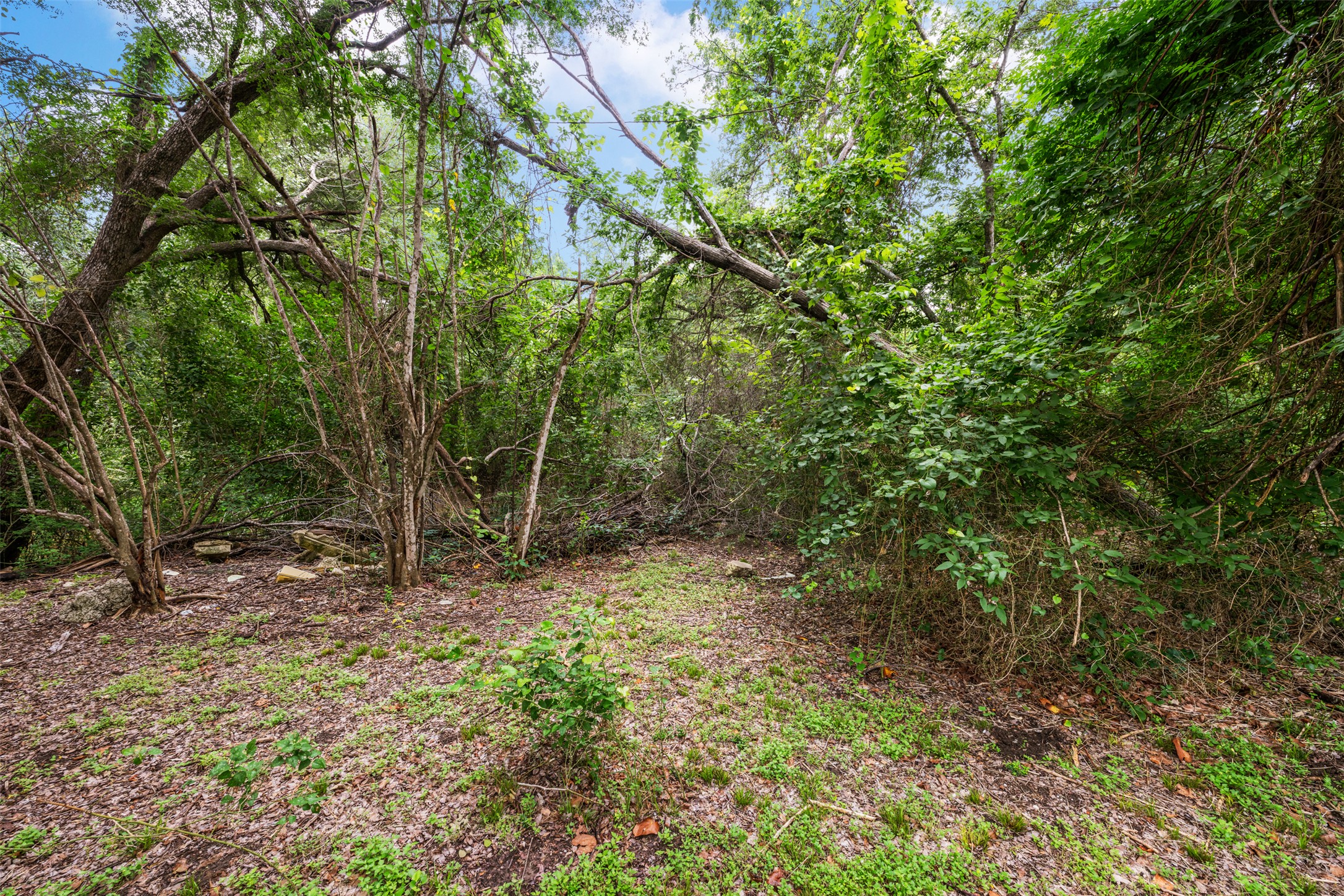 1132 Eleanor Street Austin, TX 78721 - Photo 7 of 14