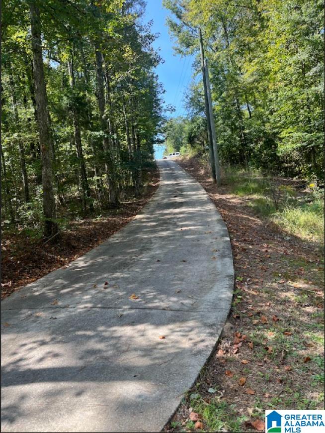 38 Morris Road Pell City, AL 35128 - Photo 30 of 31