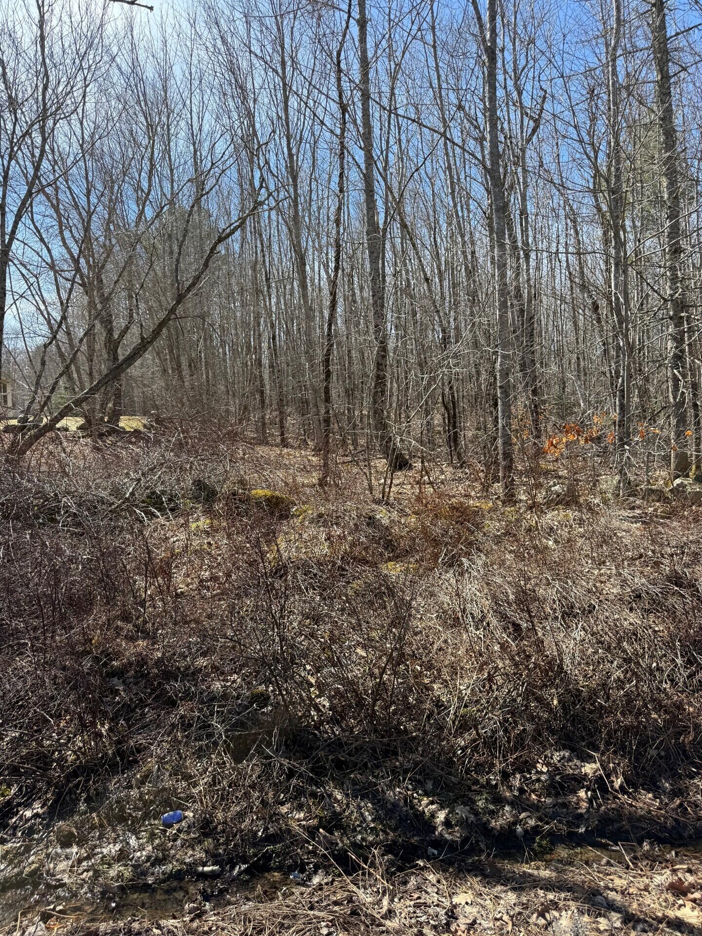824 Winslows Mills Road Waldoboro, ME 04572 - Photo 2 of 4 7c3bc320-840e-469c-935a-bb201a03f811