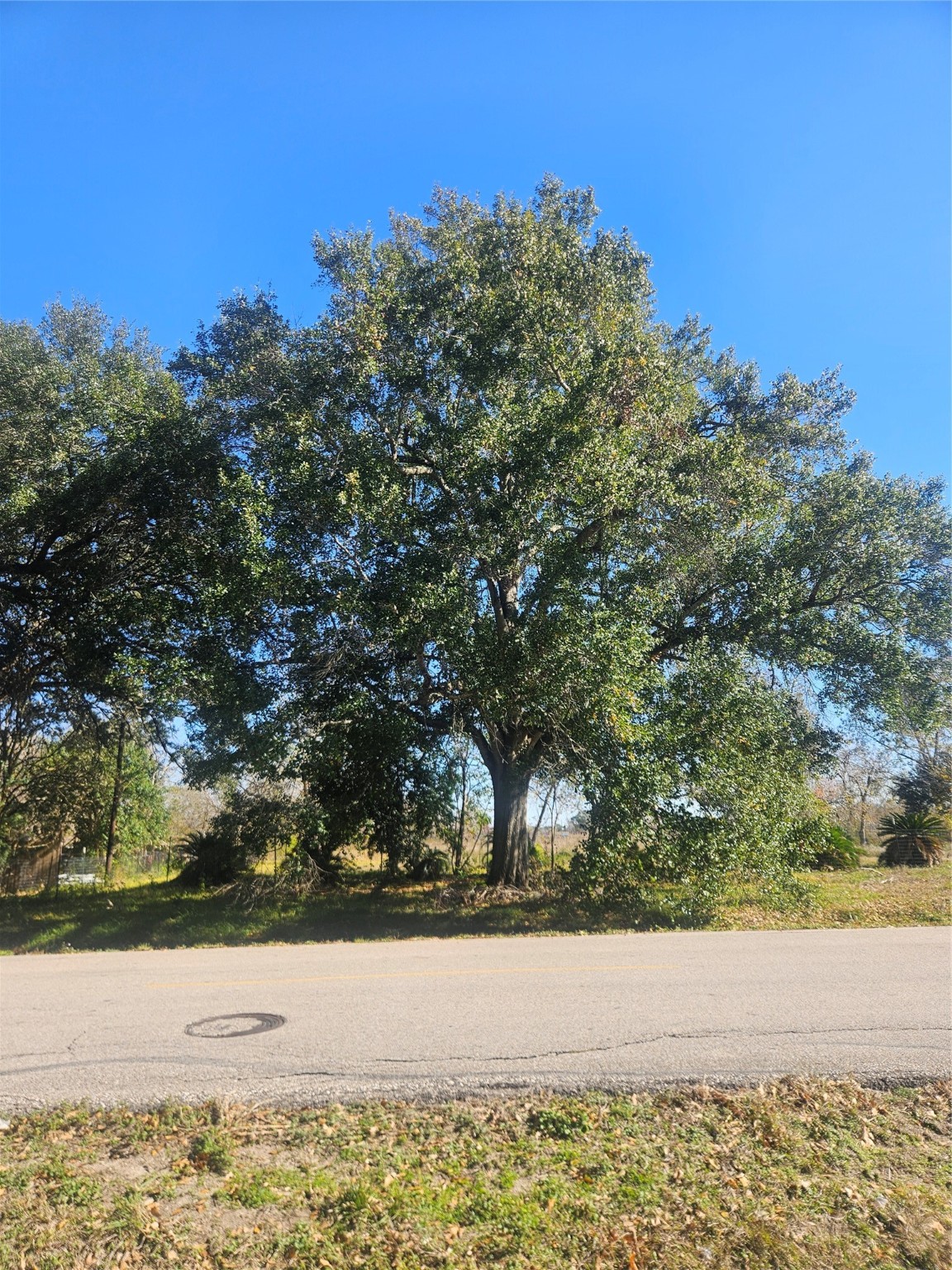 2925 West Street Rosenberg, TX 77471 - Photo 13 of 15 a view of a yard with an ocean