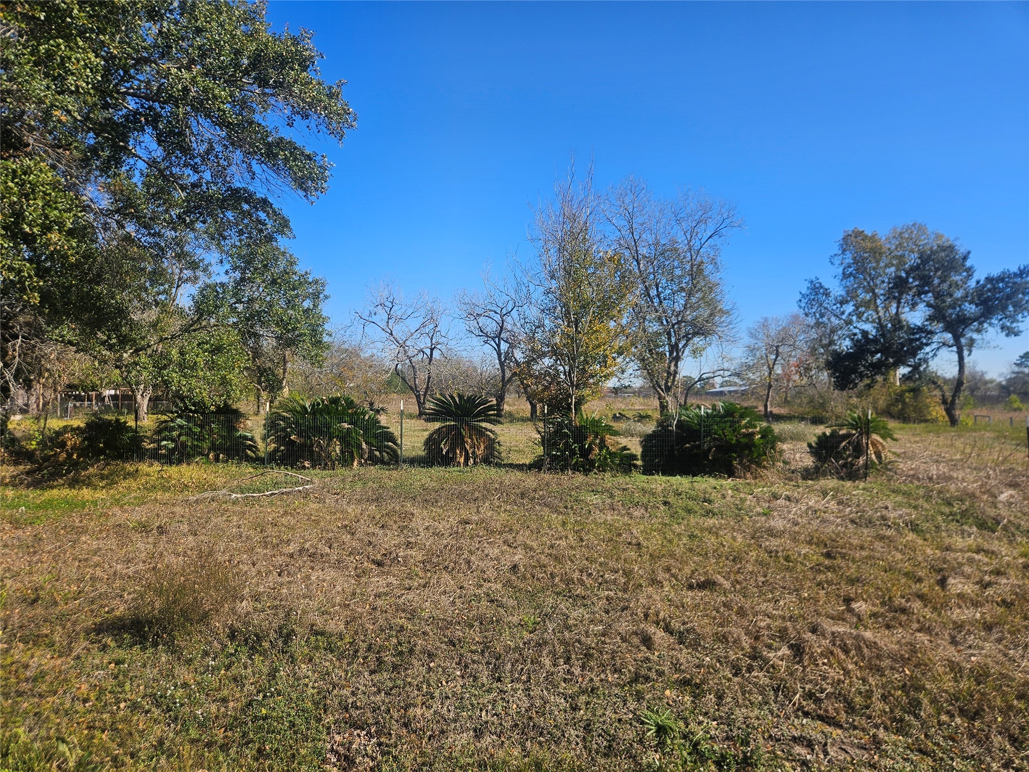 2925 West Street Rosenberg, TX 77471 - Photo 14 of 15 a view of a yard with a tree