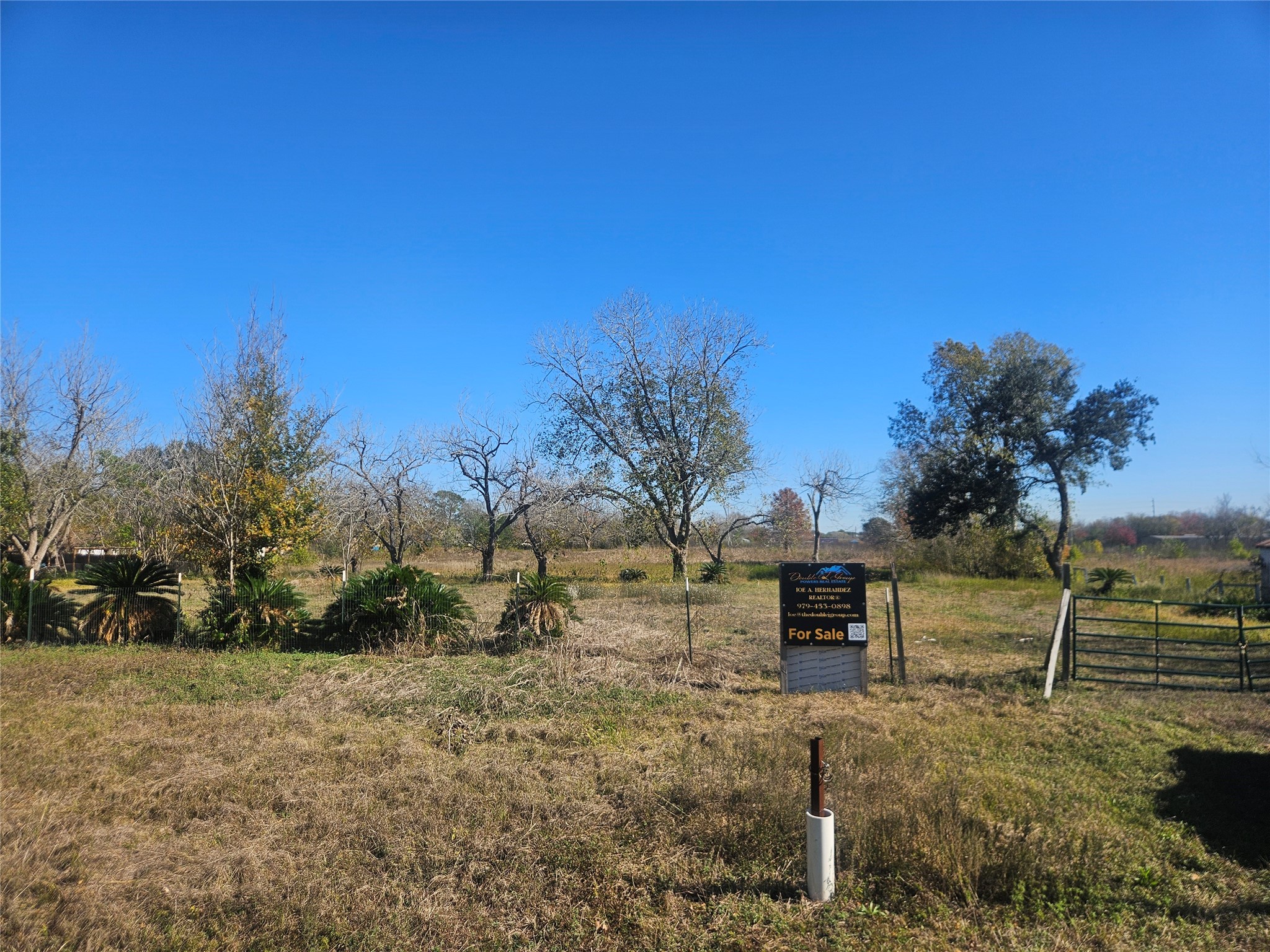 2925 West Street Rosenberg, TX 77471 - Photo 7 of 15 a view of a yard with an trees