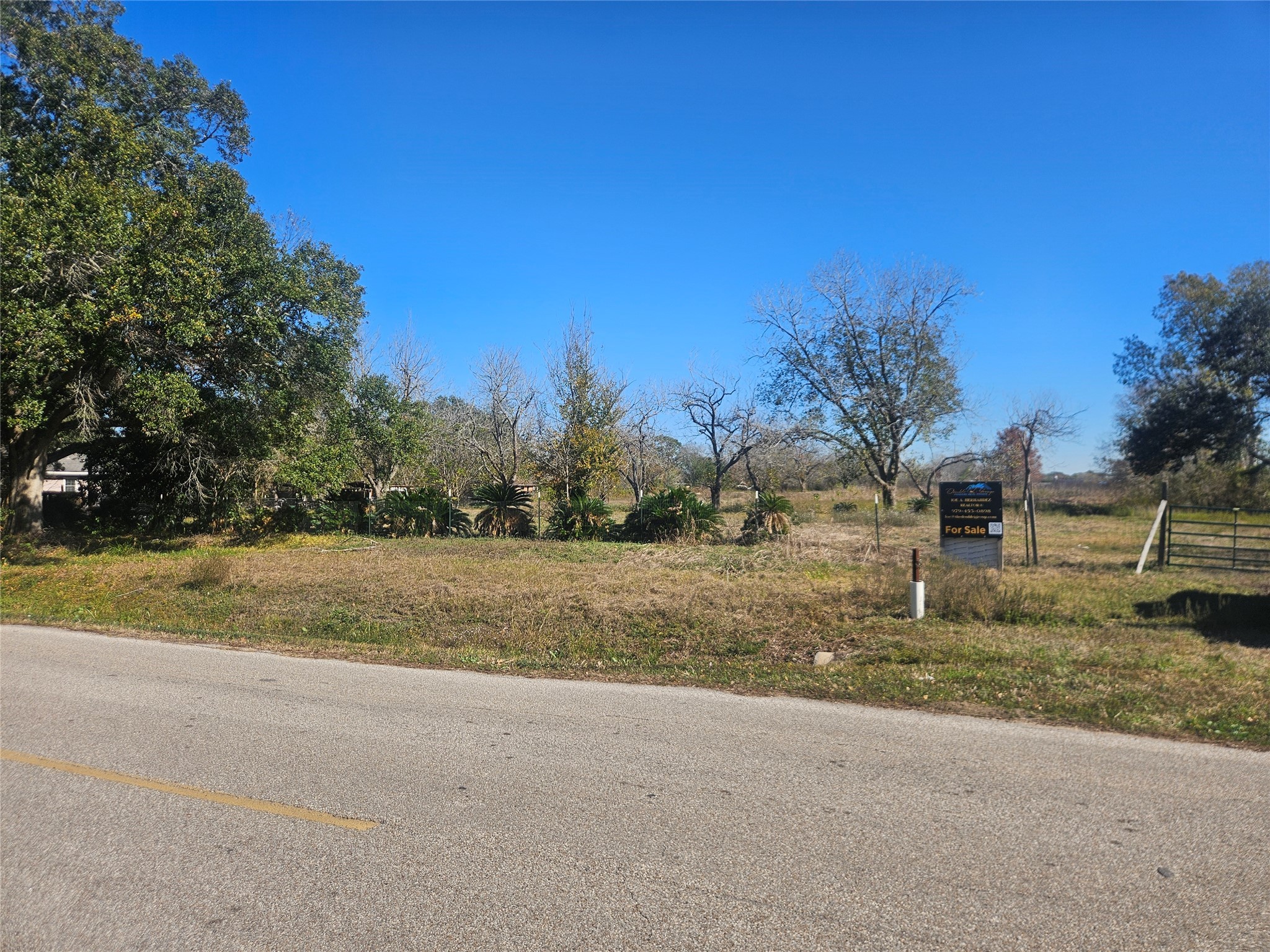 2925 West Street Rosenberg, TX 77471 - Photo 9 of 15 a view of a yard with large trees