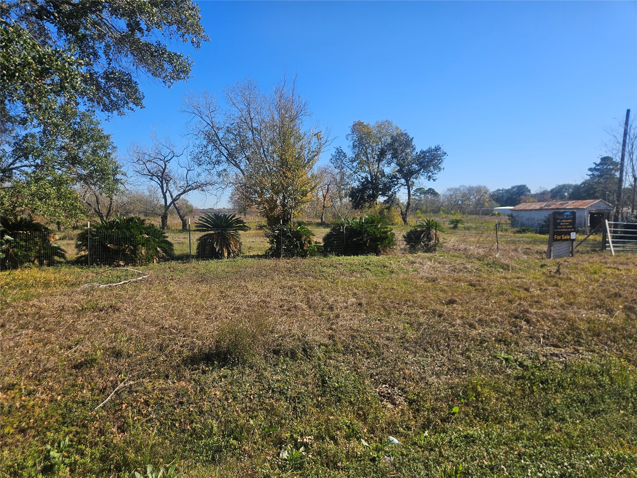 2925 West Street Rosenberg, TX 77471 - Photo 10 of 15 a view of a yard with a tree