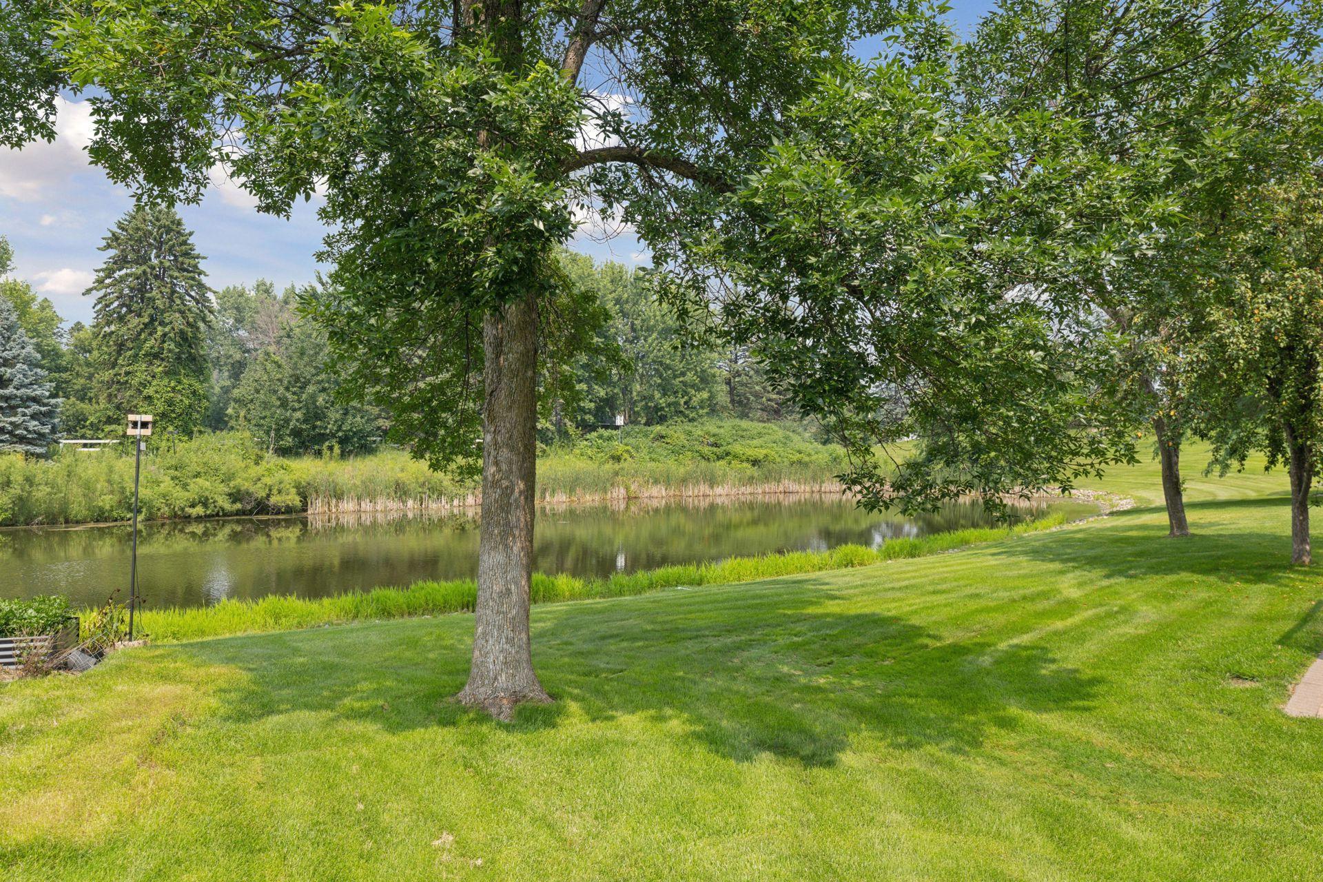820 Foxberry Farms Road Medina, MN 55340 - Photo 60 of 61 Gallery Image 60