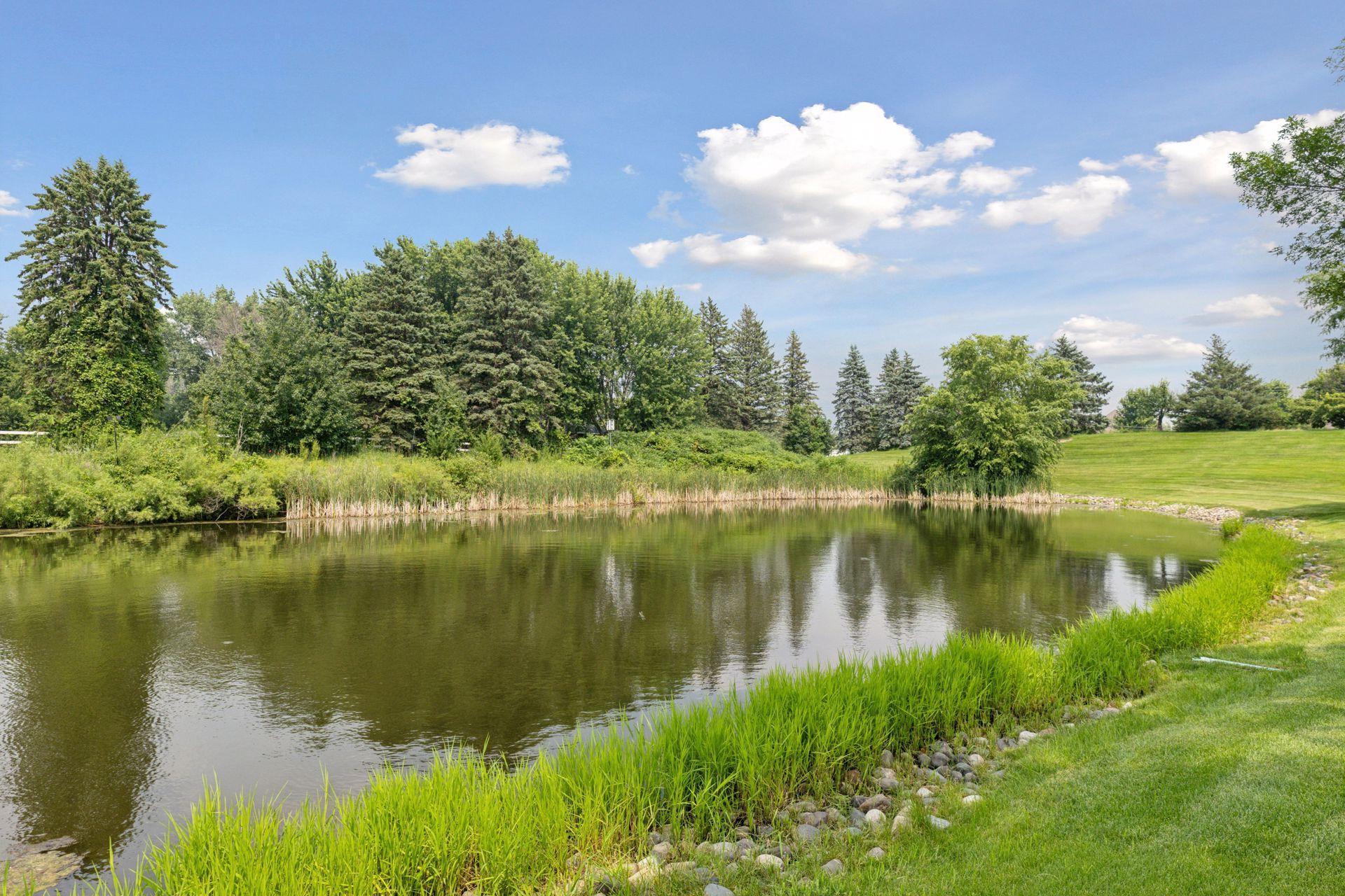 820 Foxberry Farms Road Medina, MN 55340 - Photo 61 of 61 Gallery Image 61