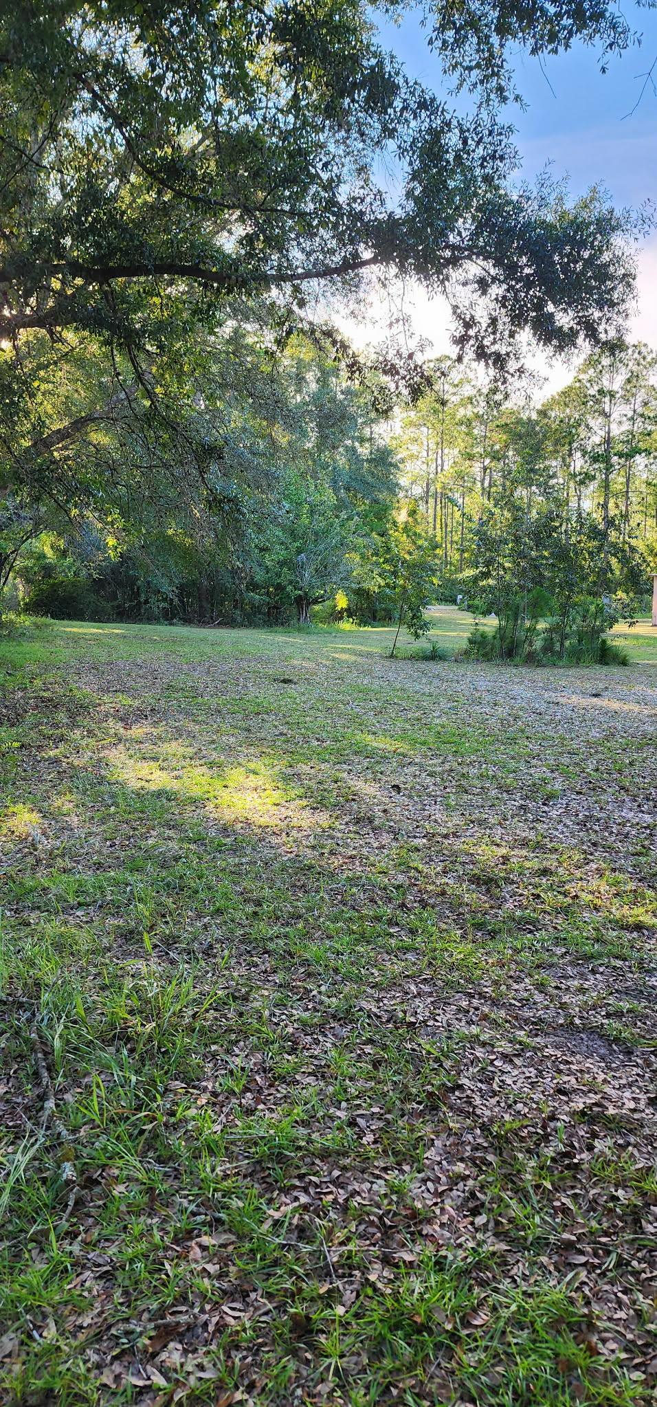 152 Sam Marks Road Crawfordville, FL 32327 - Photo 18 of 18 Gallery Image 18