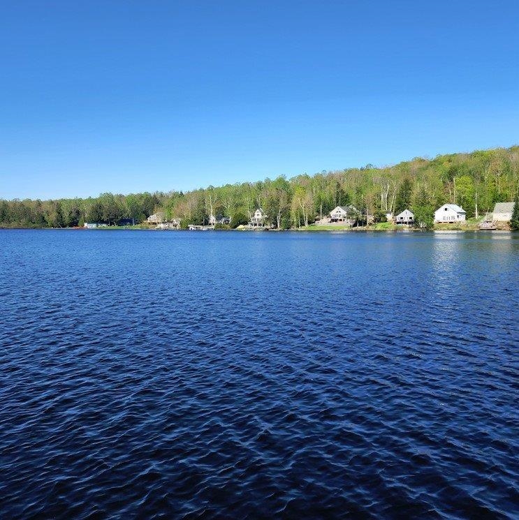 112 Normand Road Stark, NH 03582 - Photo 2 of 40