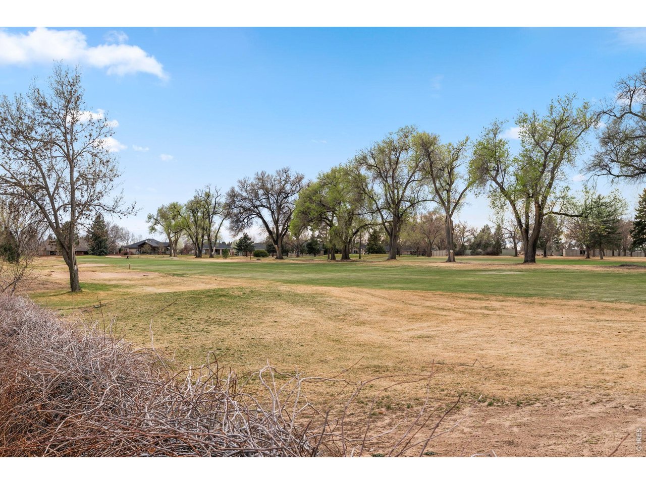 39 Ward Drive, Unit 104 Greeley, CO 80634 - Photo 29 of 31 a view of a yard with an trees