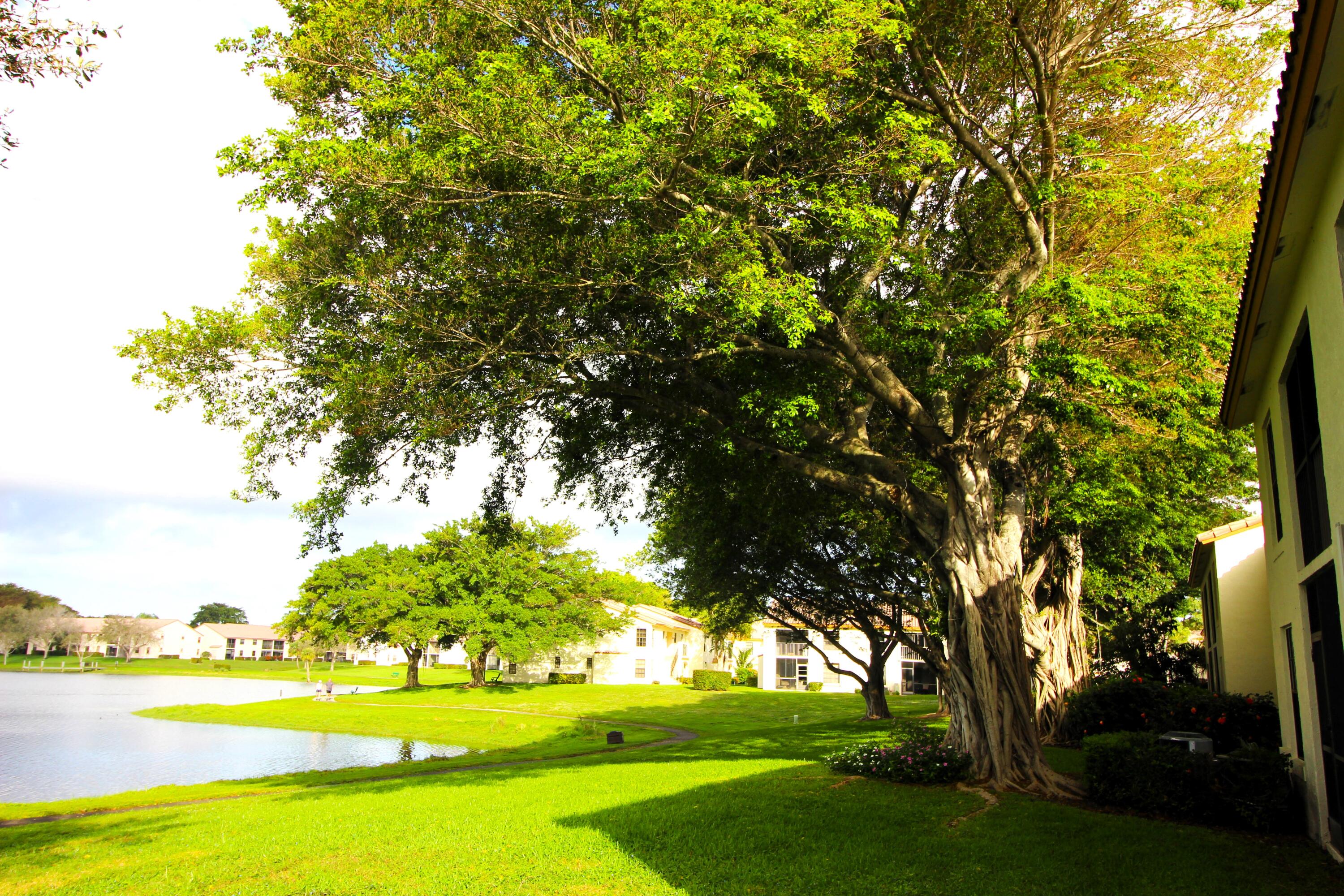 2900 Olivewood Terrace, Unit 206 Boca Raton, FL 33431 - Photo 44 of 45 IMG_7021