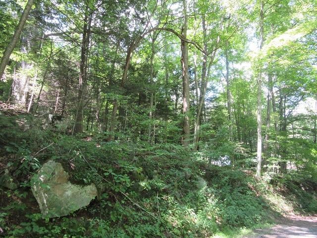 253 Claypool Road Meadow Bridge, WV 25976 - Photo 8 of 15 Gallery Image 8