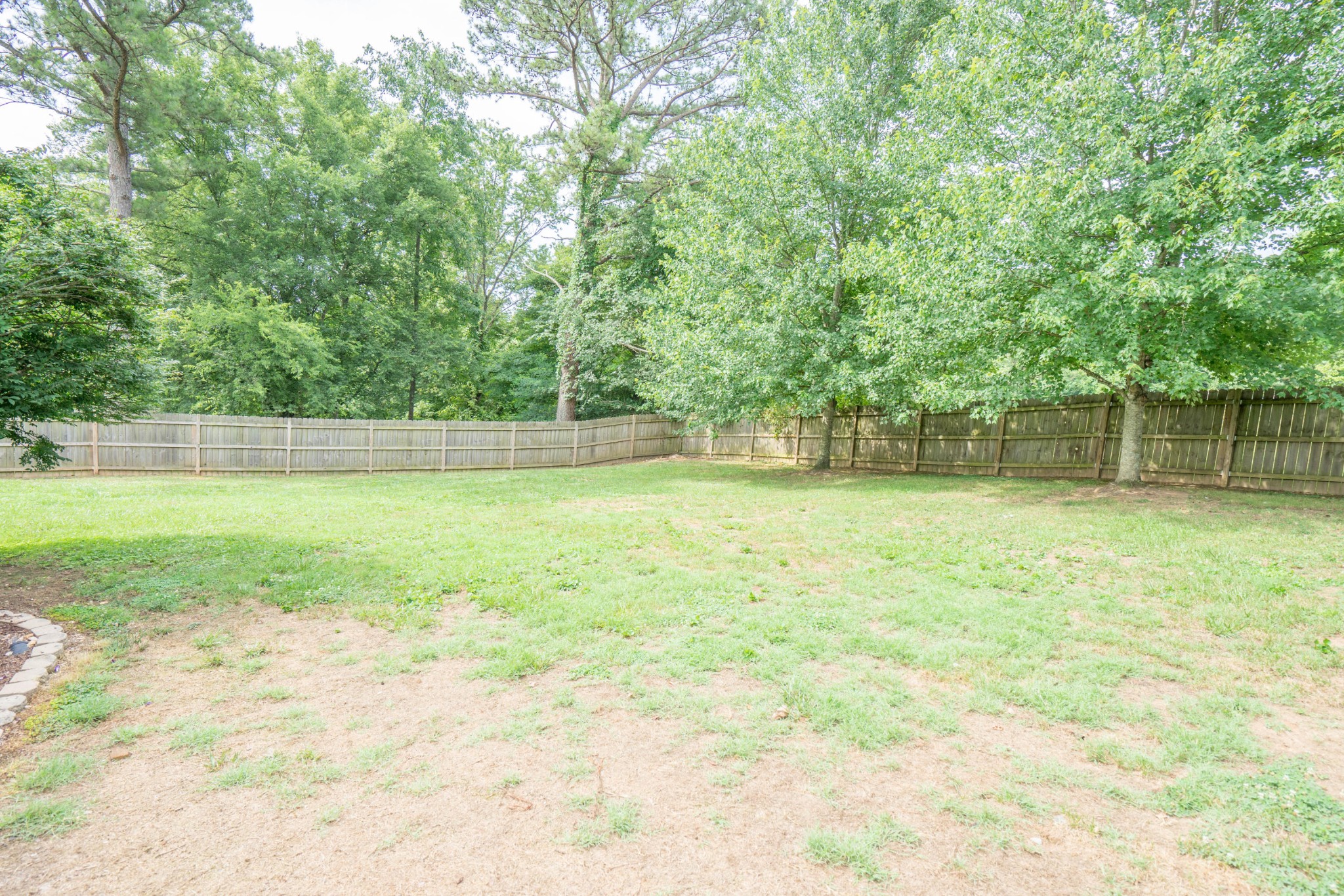 441 Orchard Knob Road Clinton, TN 37716 - Photo 26 of 33 a view of a yard with a trees