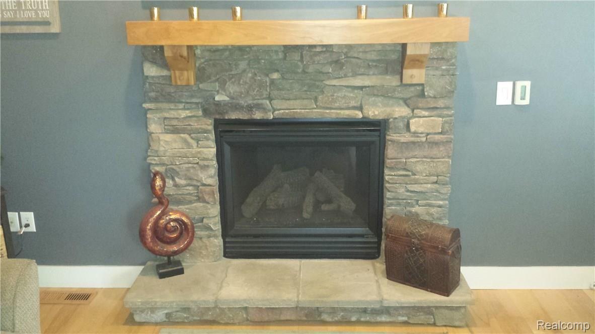 700 Wild Goose Lake Road Gregory, MI 48137 - Photo 38 of 72 GAS FIREPLACE