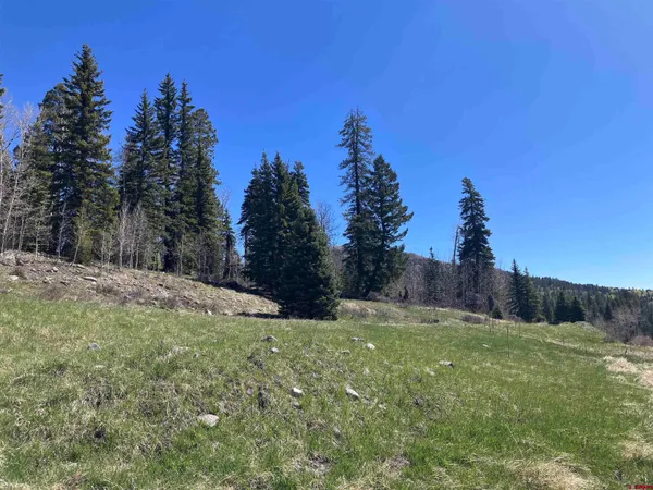 a view of a field with trees in the background
