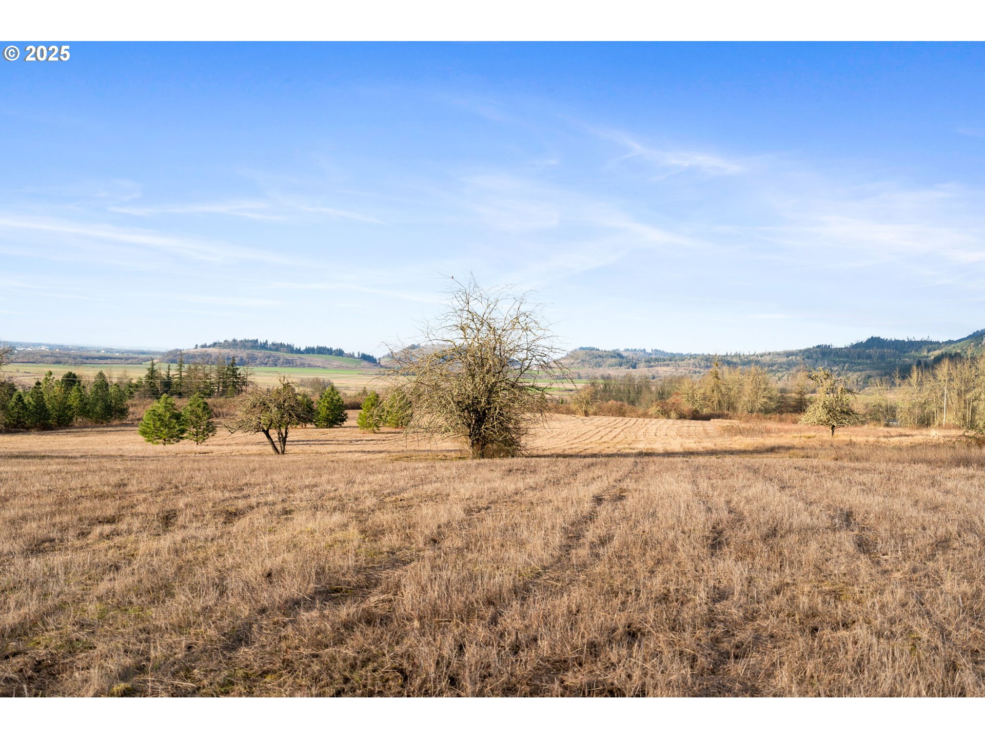 Diamond Ridge Loop Eugene, OR 97408 - Photo 5 of 15