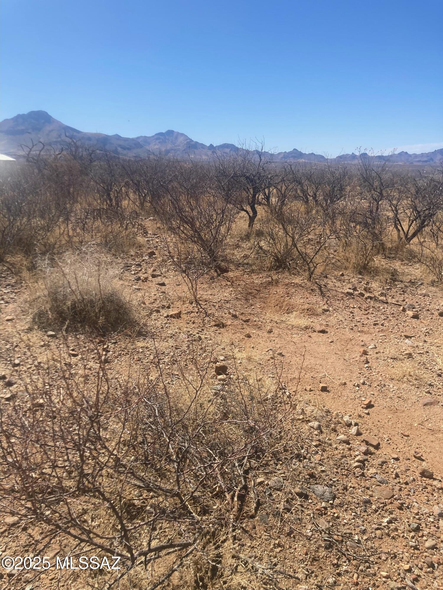 36 Avenida De Las Naciones, Unit 16 Rio Rico, AZ 85648 - Photo 1 of 2