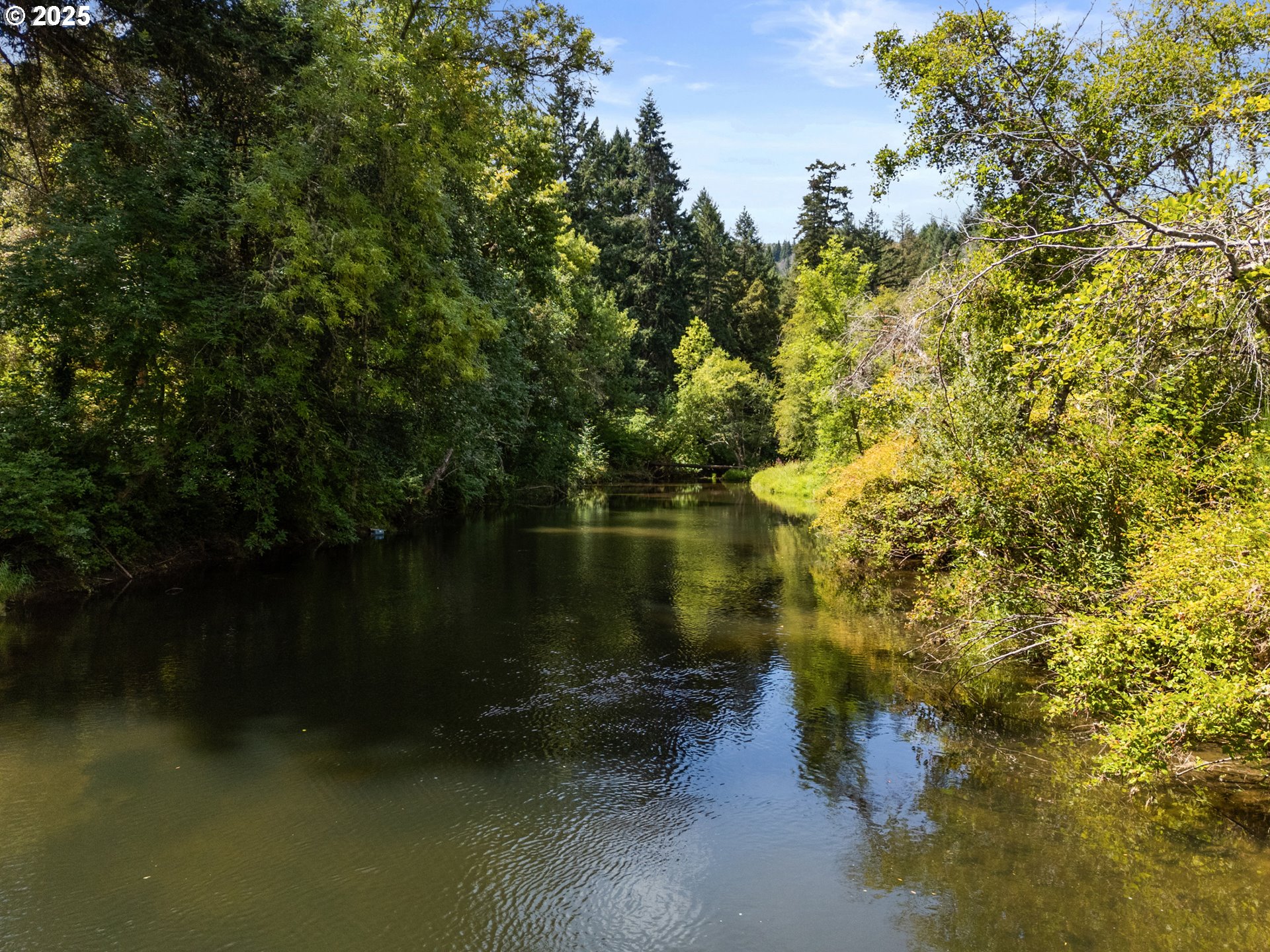 4215 Mt Reuben Road Glendale, OR 97442 - Photo 6 of 40