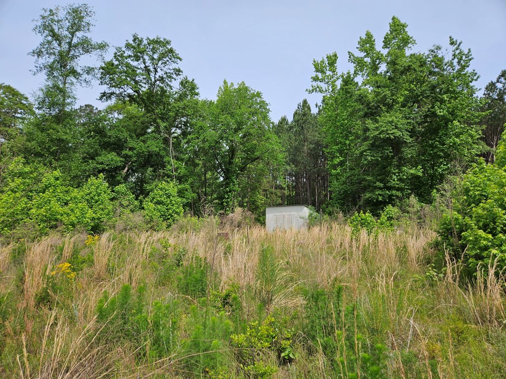 Tbd Coulter Road St. Matthews, SC 29135 - Photo 12 of 15