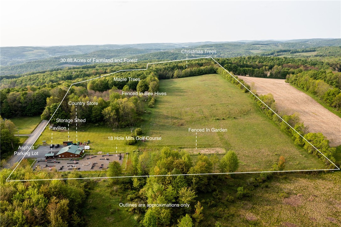 1364 County Highway Mount Vision, NY 13810 - Photo 2 of 50