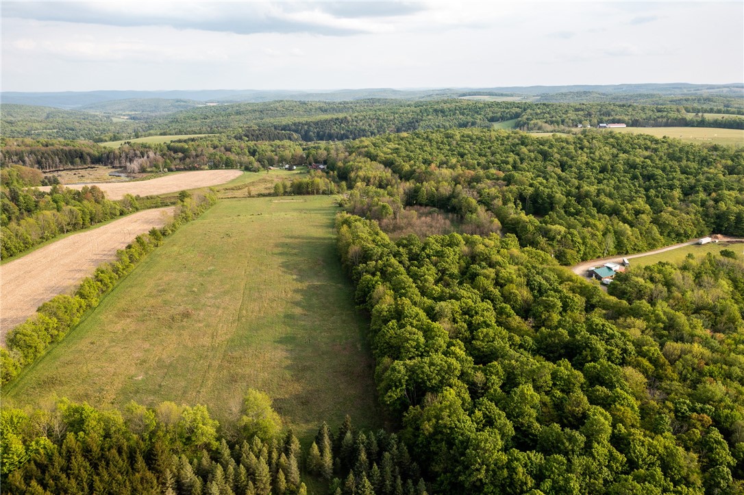 1364 County Highway Mount Vision, NY 13810 - Photo 33 of 50