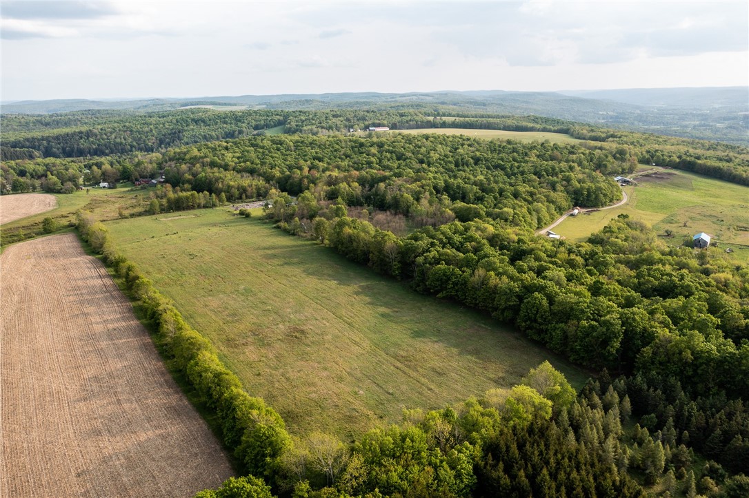 1364 County Highway Mount Vision, NY 13810 - Photo 34 of 50