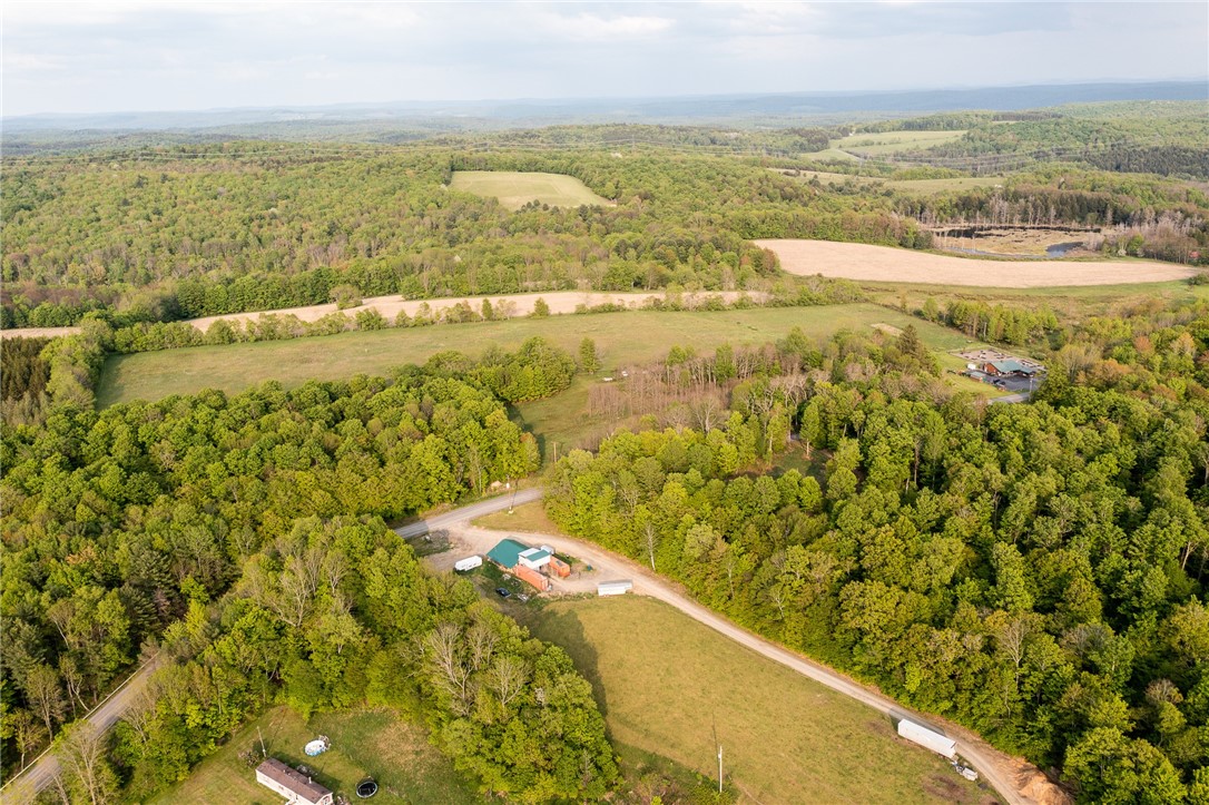 1364 County Highway Mount Vision, NY 13810 - Photo 40 of 50