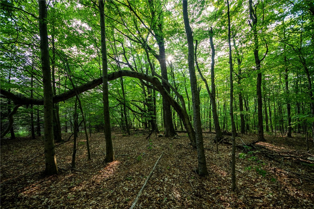 1364 County Highway Mount Vision, NY 13810 - Photo 43 of 50