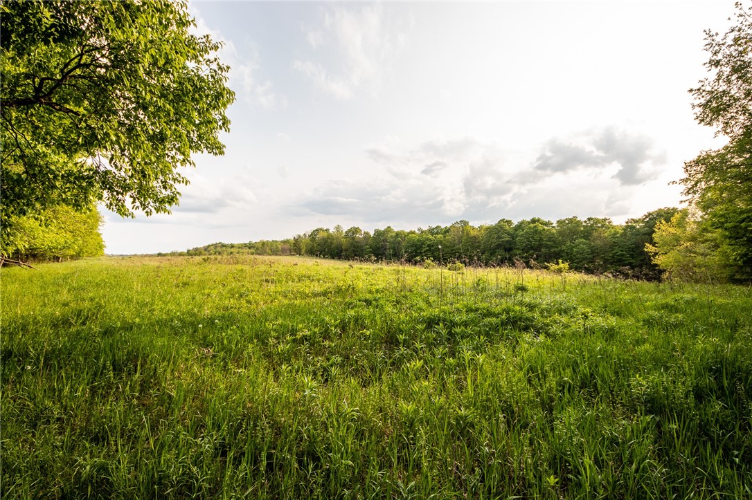 1364 County Highway Mount Vision, NY 13810 - Photo 44 of 50