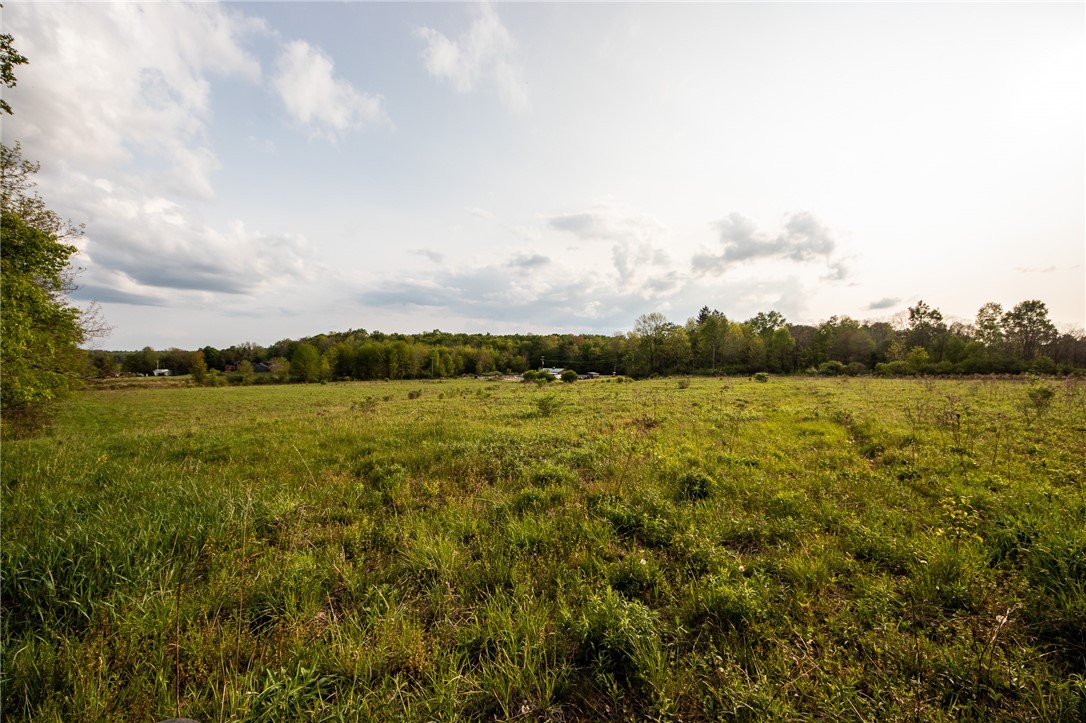 1364 County Highway Mount Vision, NY 13810 - Photo 46 of 50