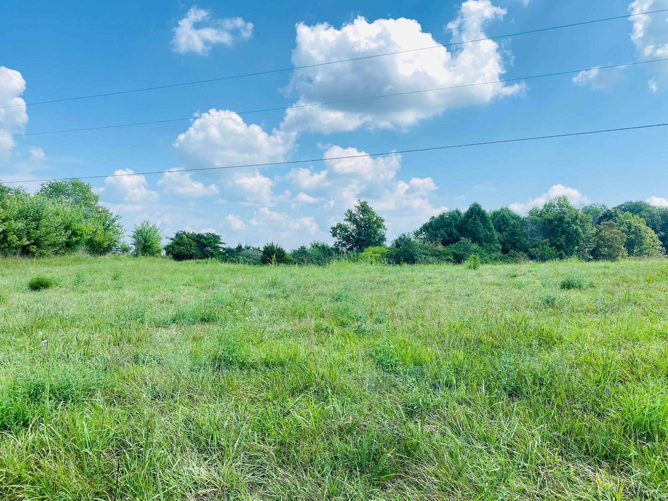 5 Beech Grove Road Nancy, KY 42544 - Photo 7 of 14 20210826022339245881000000-o