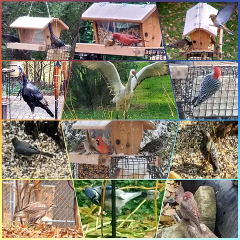 $650,000 | 3117 Todd Drive, Madison, WI 53713