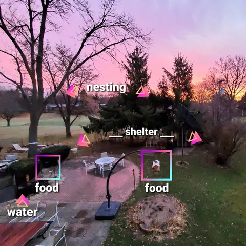 $650,000 | 3117 Todd Drive, Madison, WI 53713