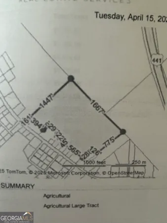 a view of a dry yard