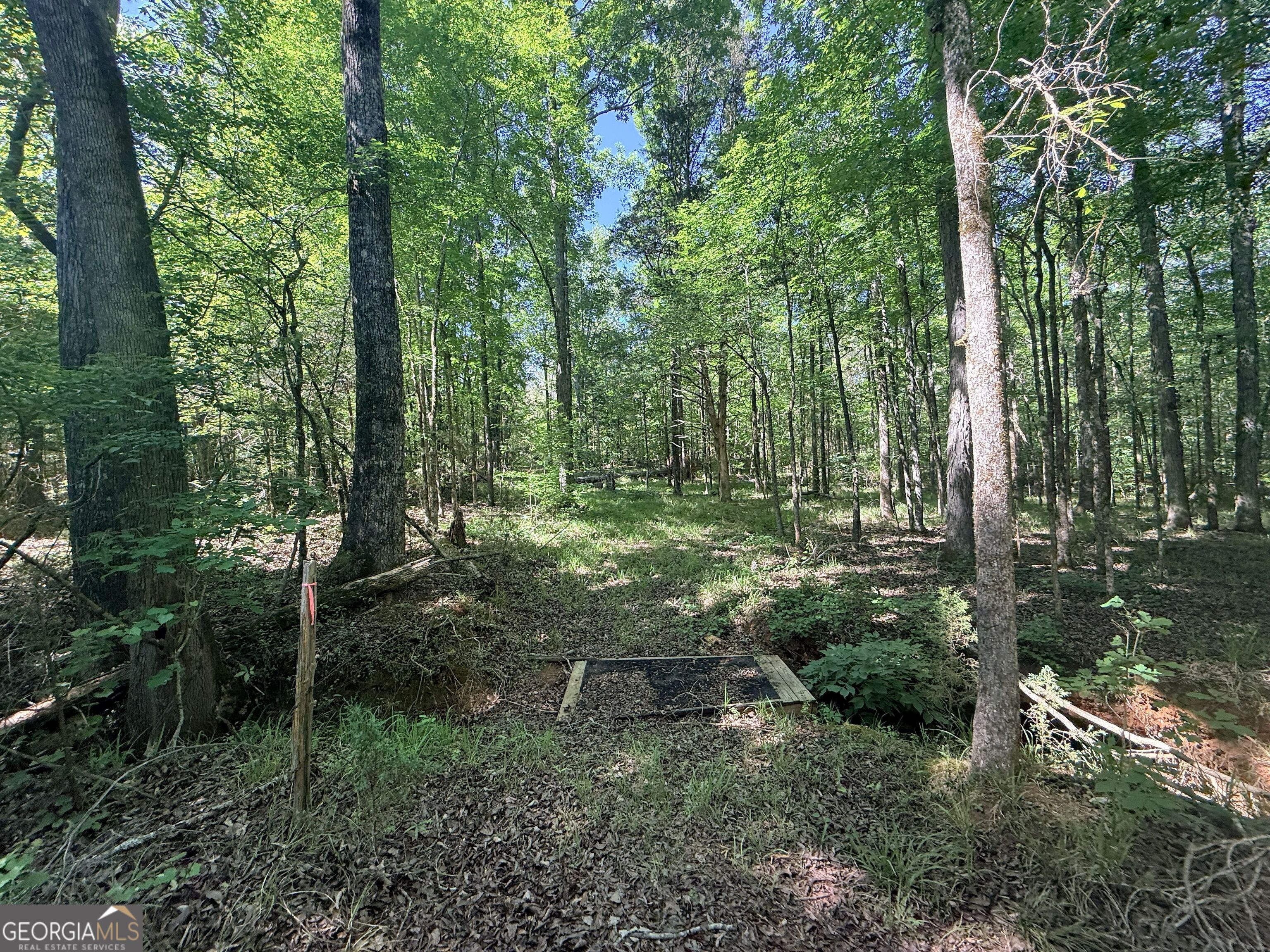 580 Saggus Road Washington, GA 30673 - Photo 40 of 54