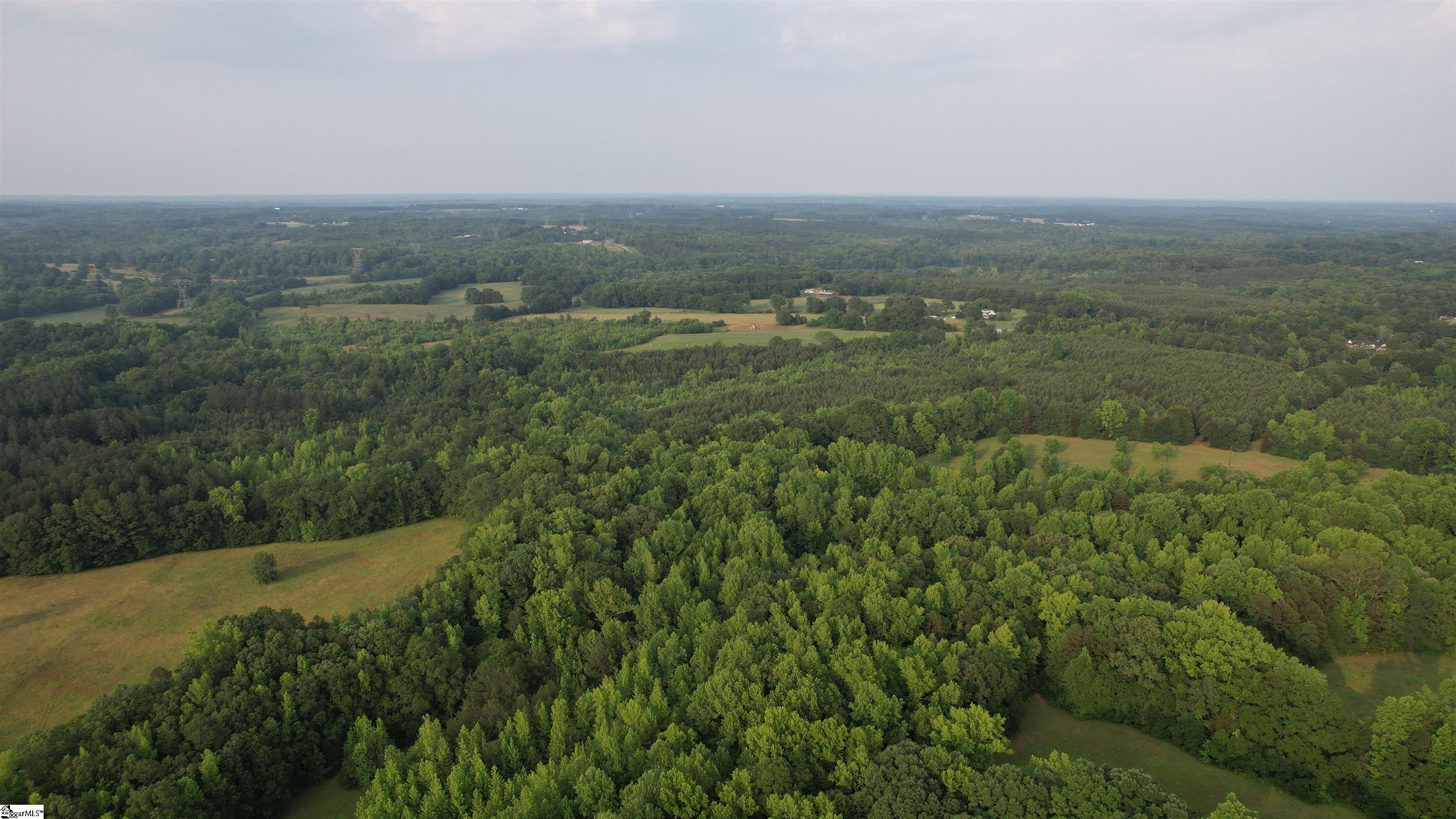 3006 Harris Bridge Road Woodruff, SC 29388 - Photo 11 of 13