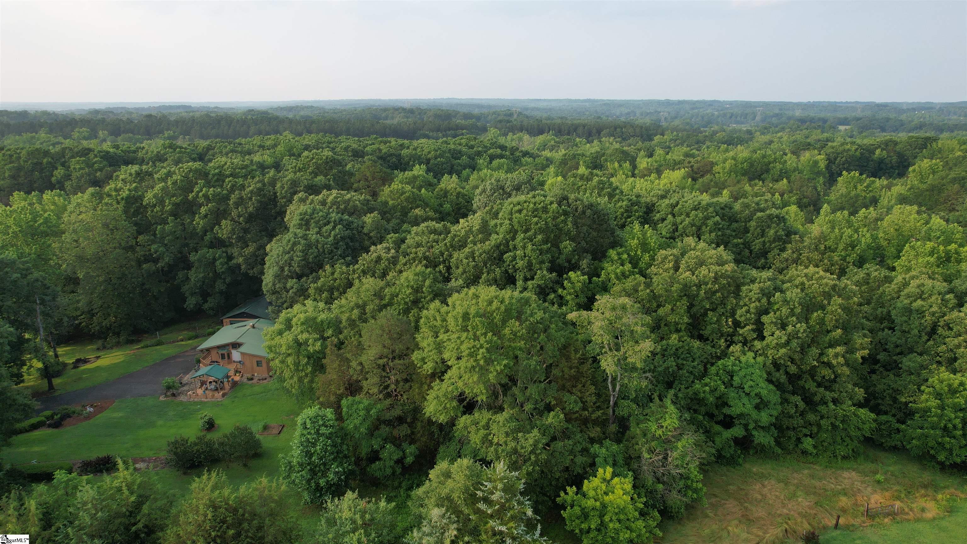 3006 Harris Bridge Road Woodruff, SC 29388 - Photo 8 of 13