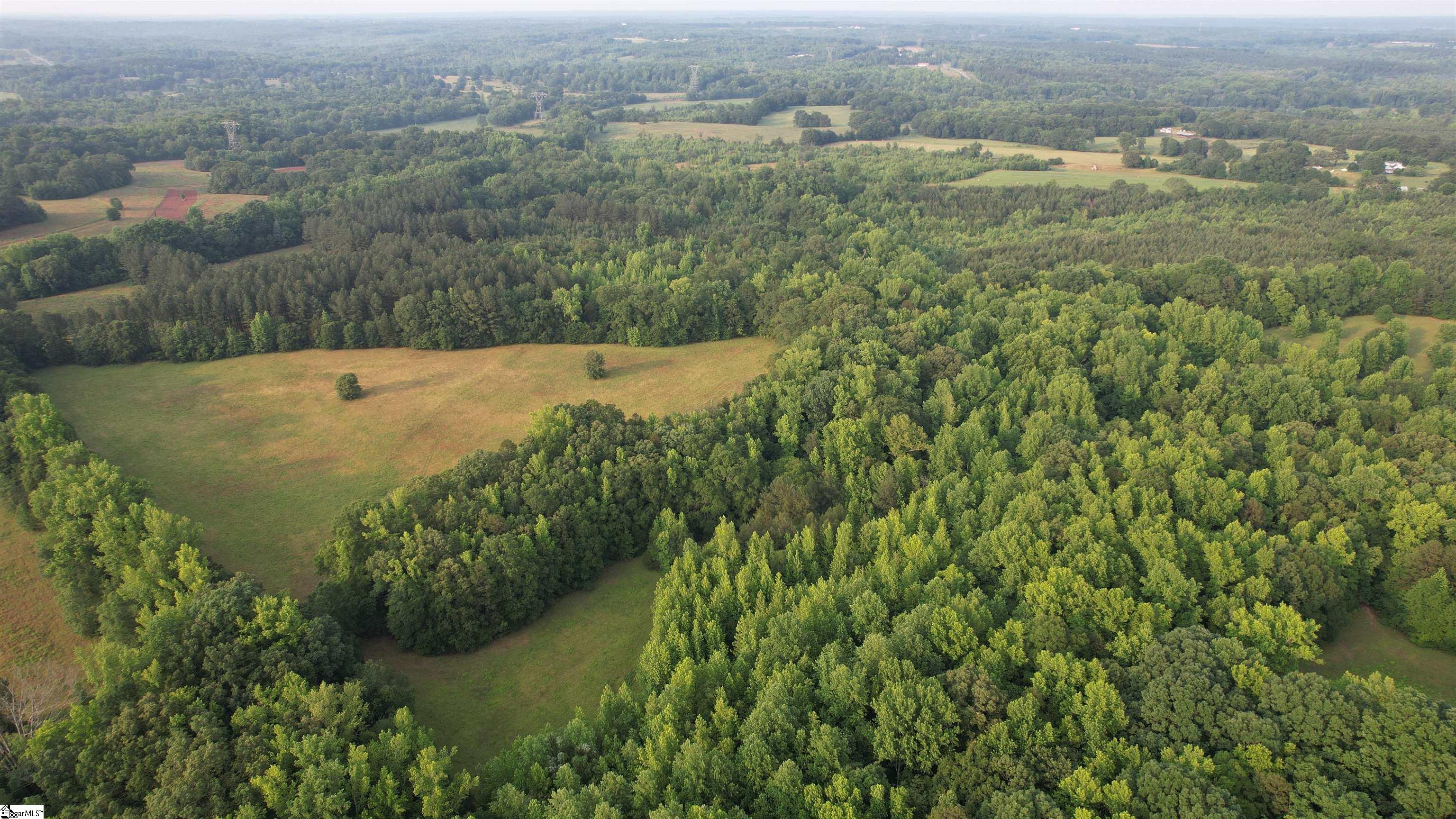 3006 Harris Bridge Road Woodruff, SC 29388 - Photo 9 of 13