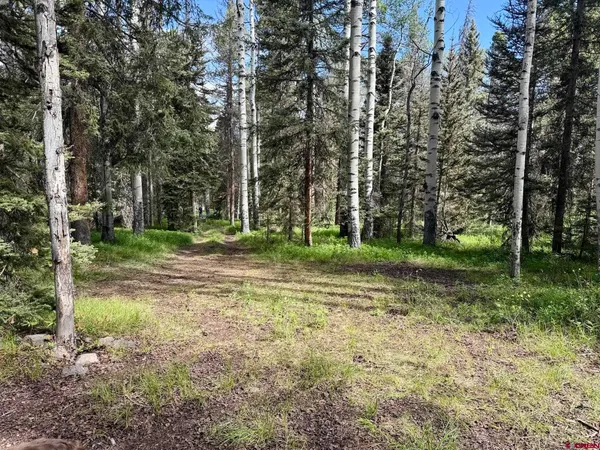 $80,000 | 425 Aspen Trail, Cimarron, CO 81220