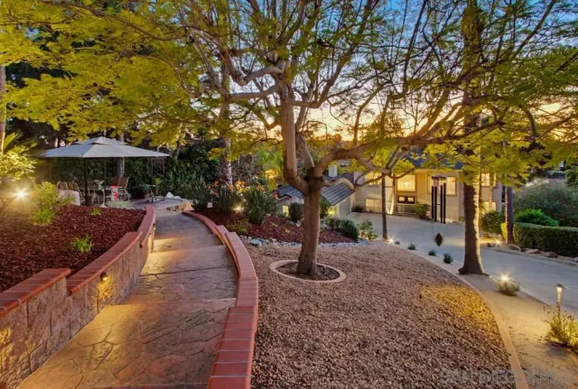 a view of a park with large trees