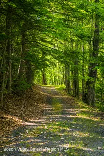 $1,150,000 | 22 Old Mill Road, Stephentown, NY 12169