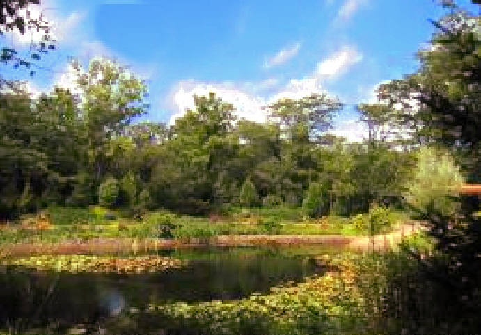 2636 South Homer Lake Road Homer, IL 61849 - Photo 125 of 176