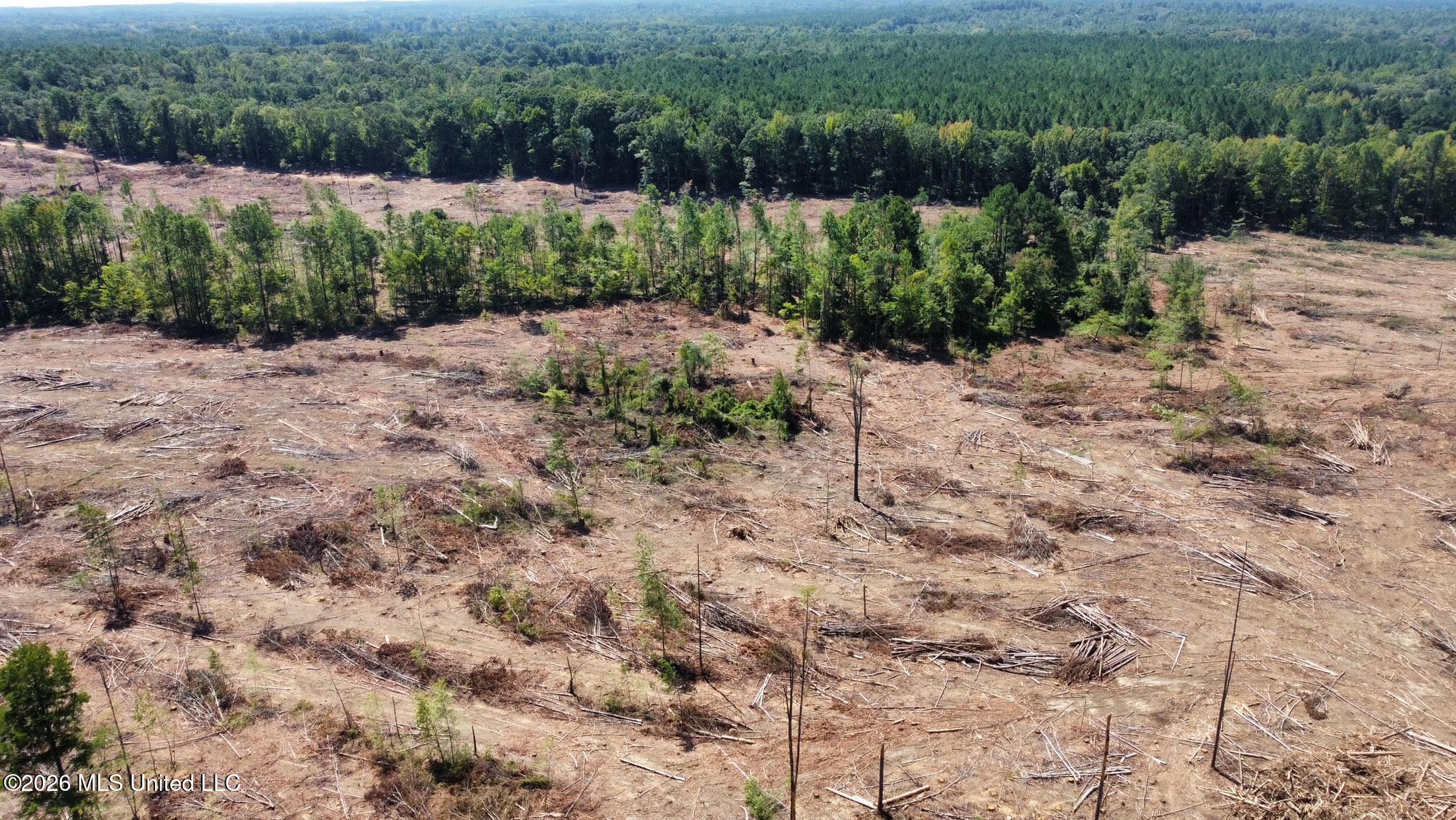 6 Cut Off Road Carthage, MS 39051 - Photo 28 of 29 213