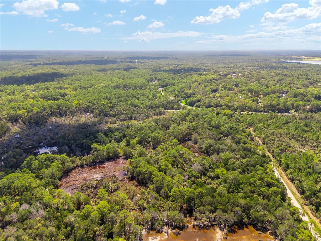 0 Southeast 193rd Place Yankeetown, FL 34498 - Photo 11 of 31 a view of a green field