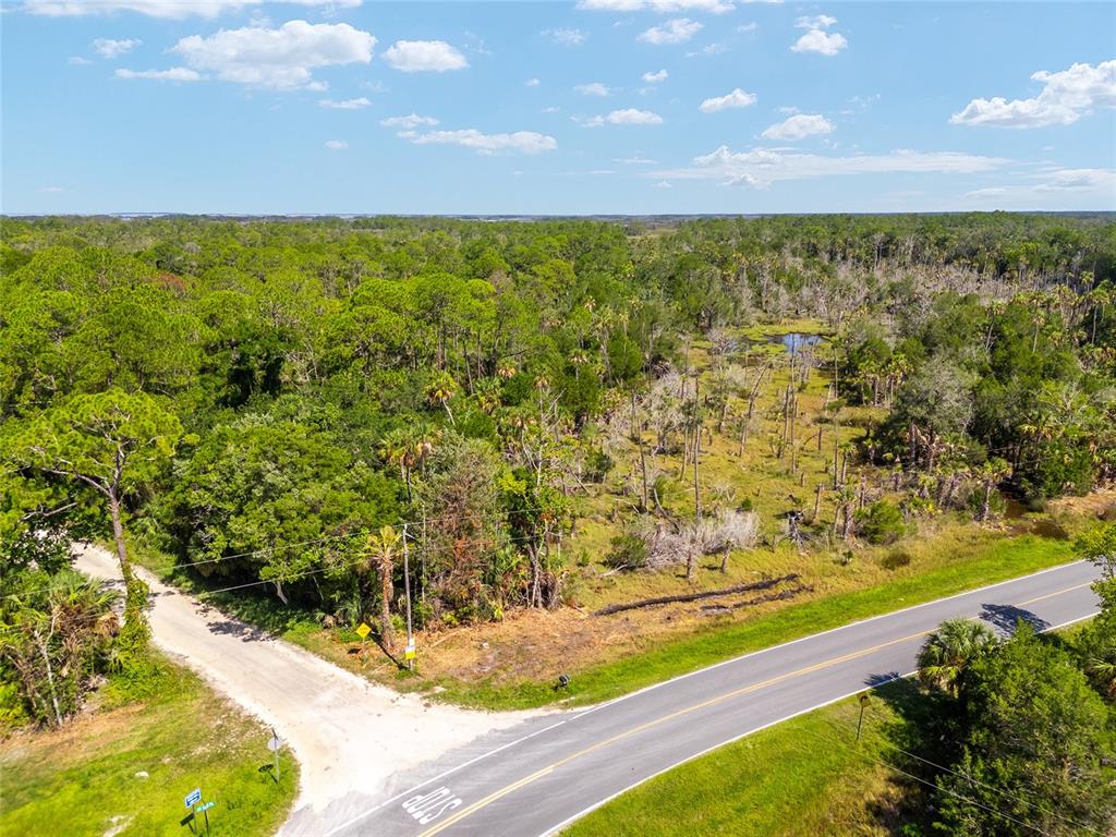 0 Southeast 193rd Place Yankeetown, FL 34498 - Photo 16 of 31 a view of a yard